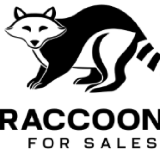 Is It Legal to Own a Raccoon in the USA